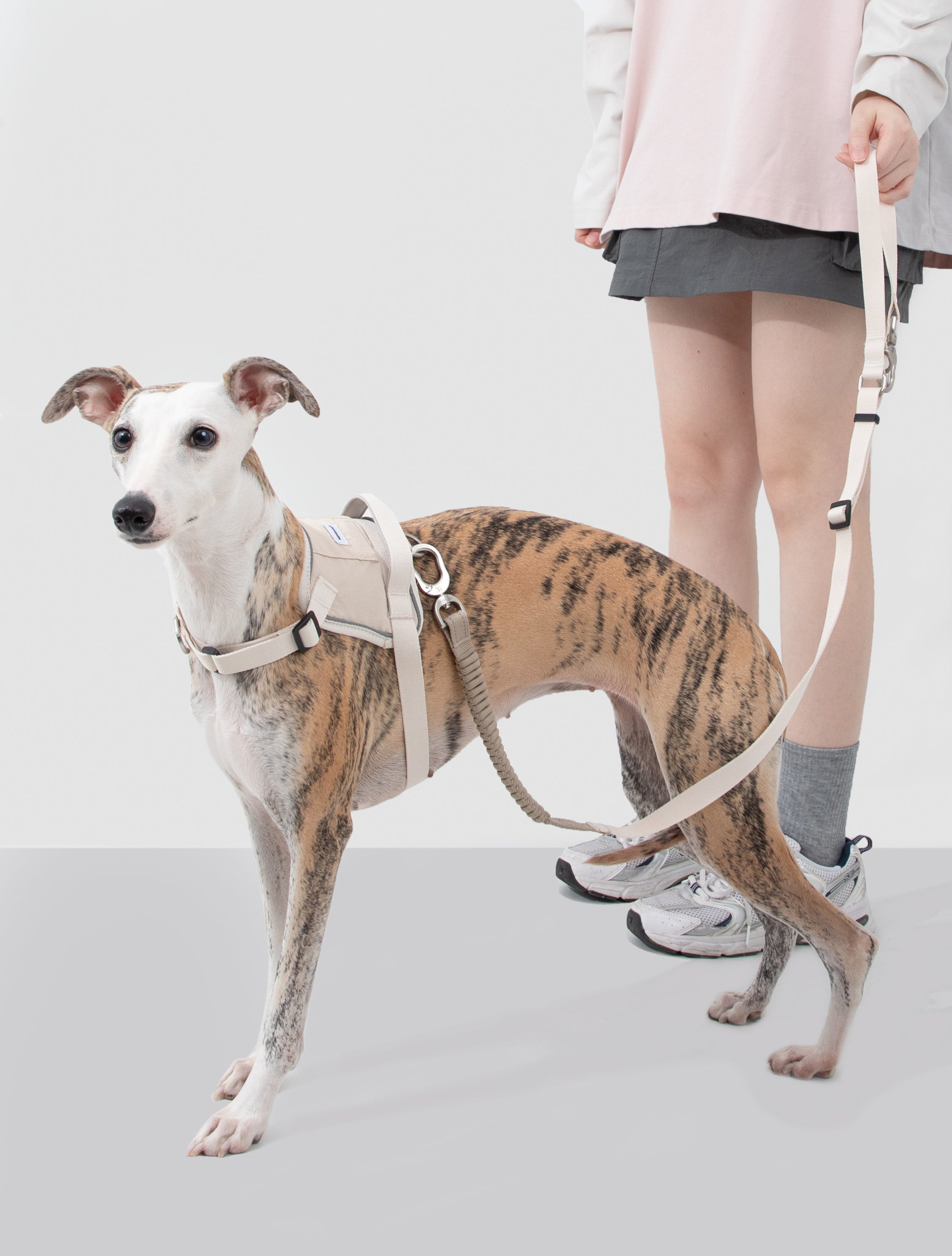 Valley series explosion-proof punching speed through dog chest and back