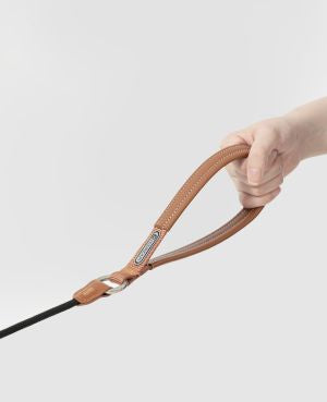 Pawsome Control Leash