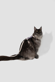 Valley Series Color blocked Cat Chest Back Traction Set