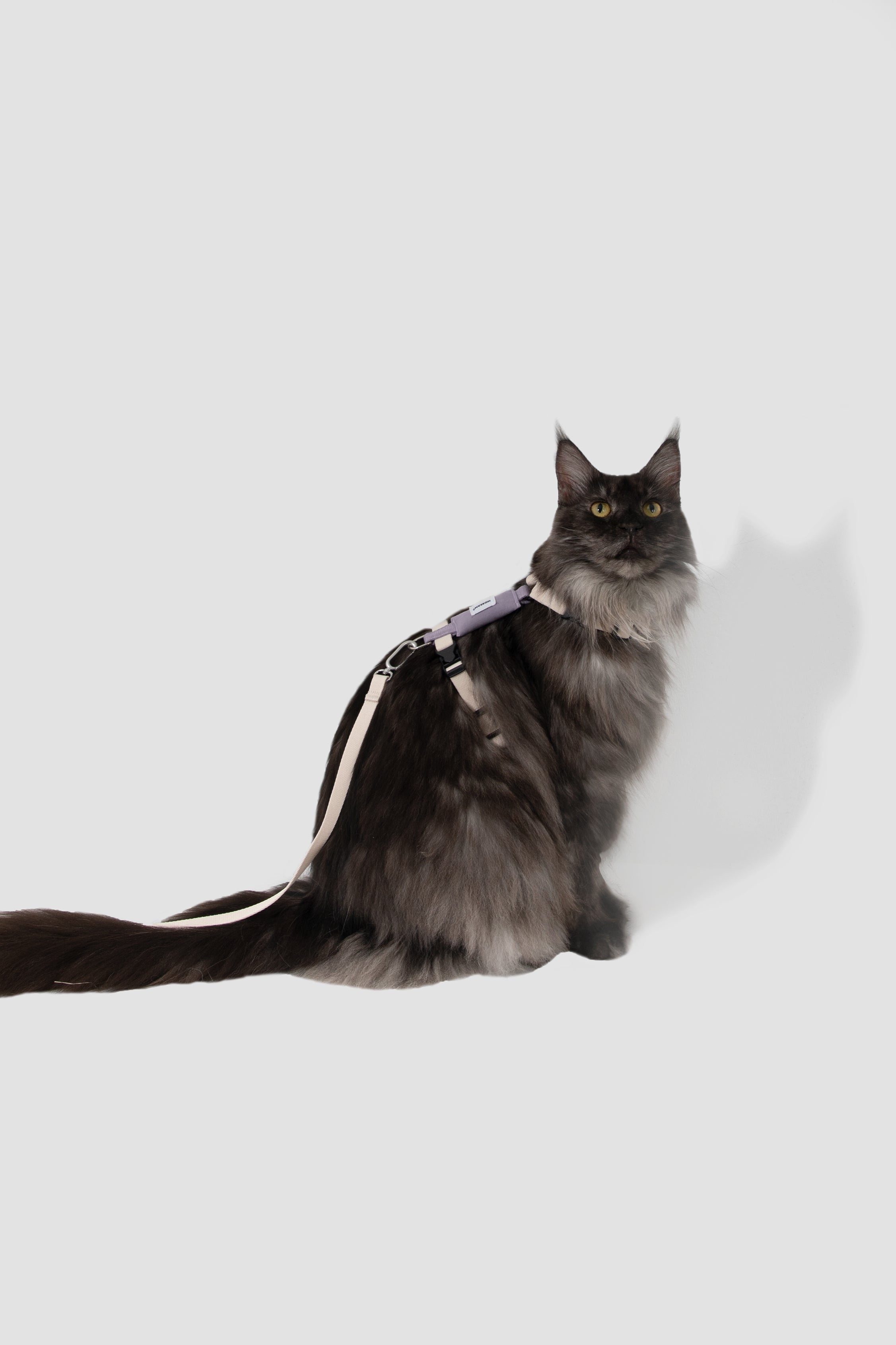 Valley Series Color blocked Cat Chest Back Traction Set
