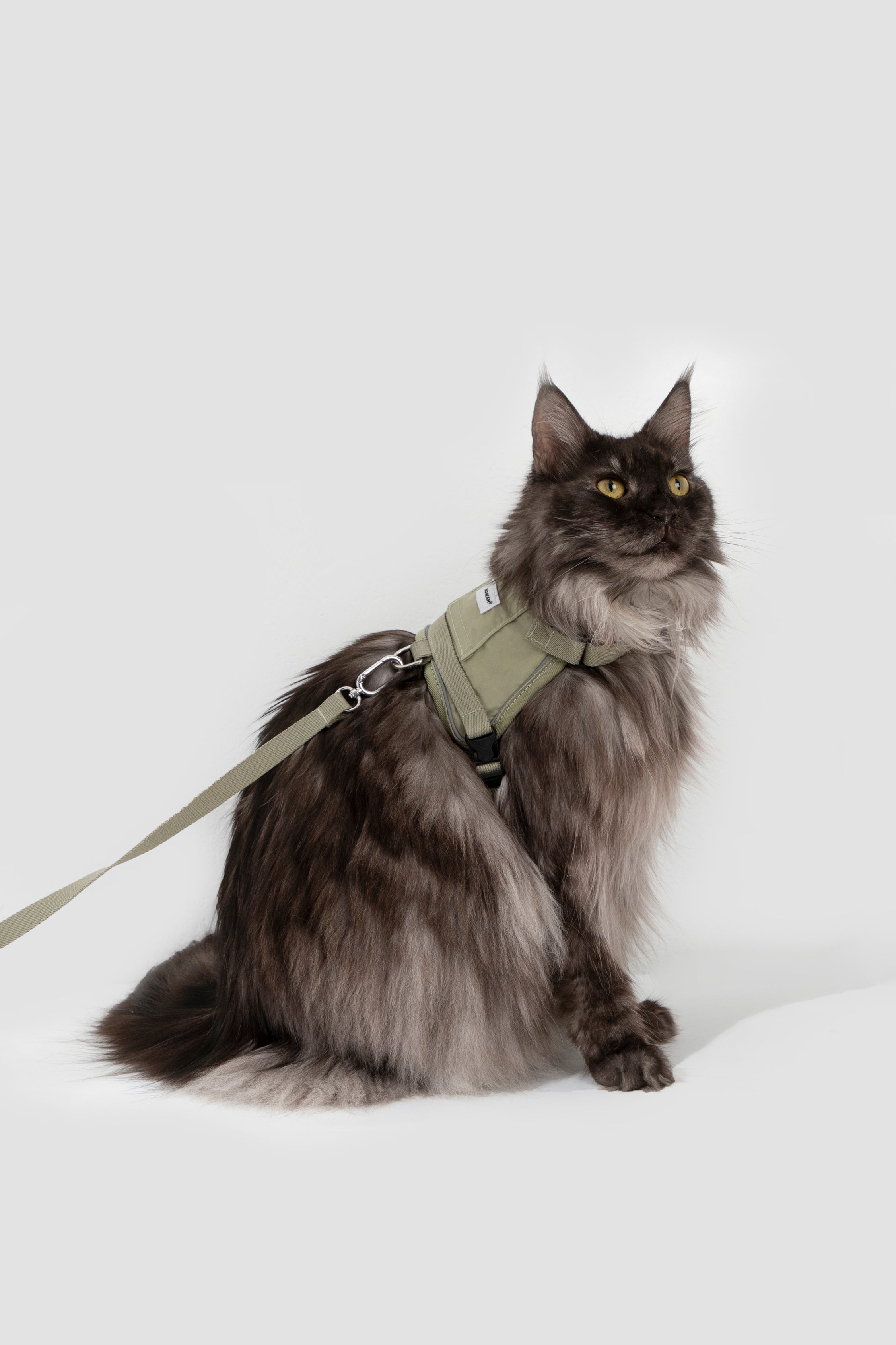 Valley series vest cat chest and back traction set