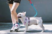 Colorful PRO Series - Multi functional Buffer Traction Rope