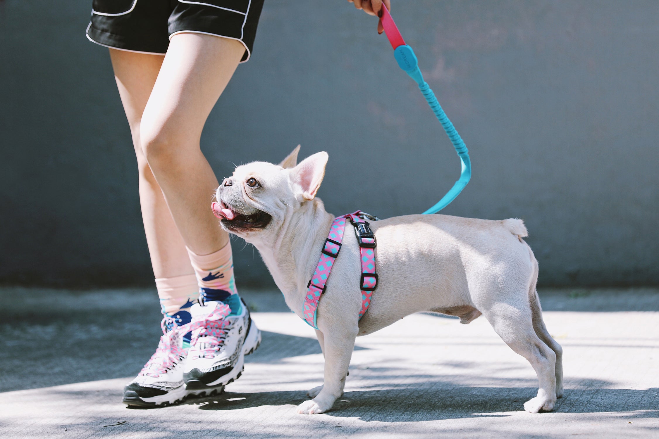 Colorful PRO Series - Multi functional Buffer Traction Rope