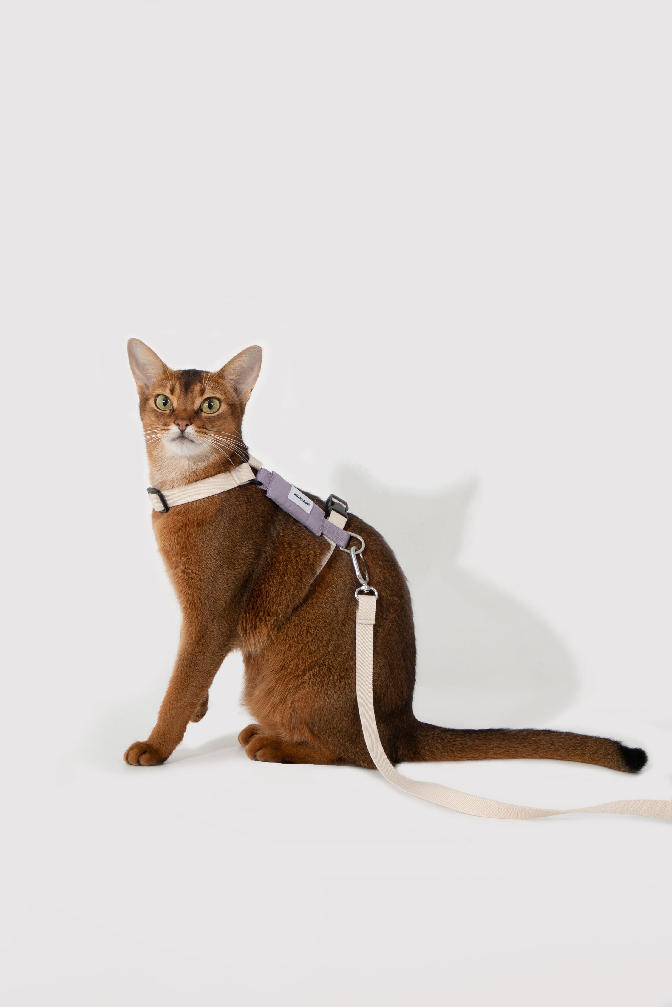 Valley Series Color blocked Cat Chest Back Traction Set