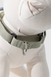 Valley series explosion-proof punching speed through dog chest and back