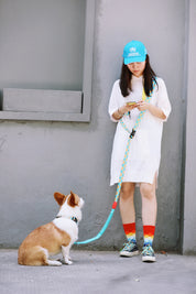 Colorful PRO Series - Multi functional Buffer Traction Rope