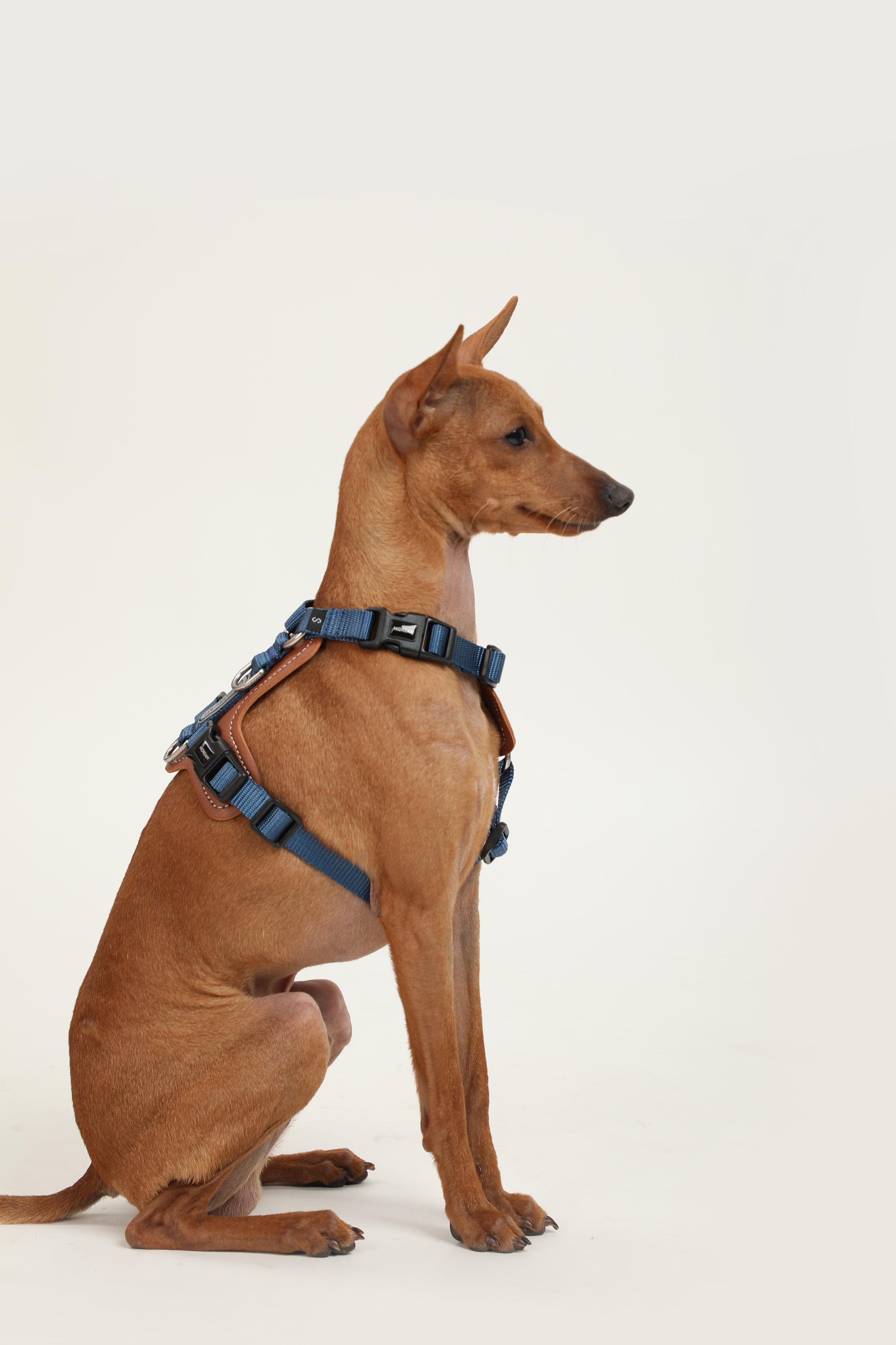 Bobo Series - Leather I-shaped Chest and Back
