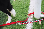 Rainbow Series - Multi functional Traction Rope