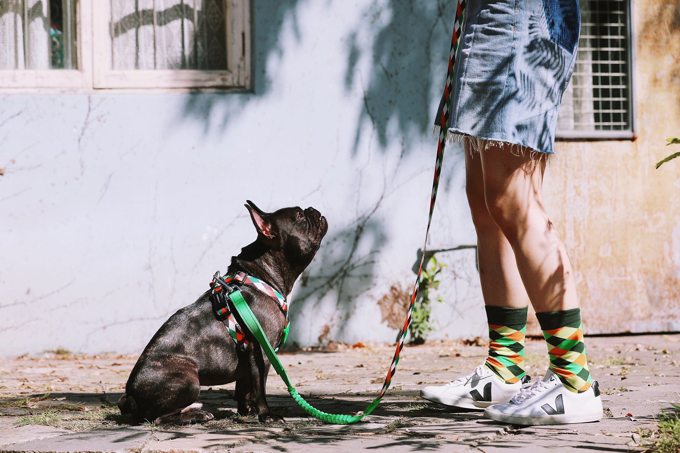 Colorful PRO Series - Multi functional Buffer Traction Rope