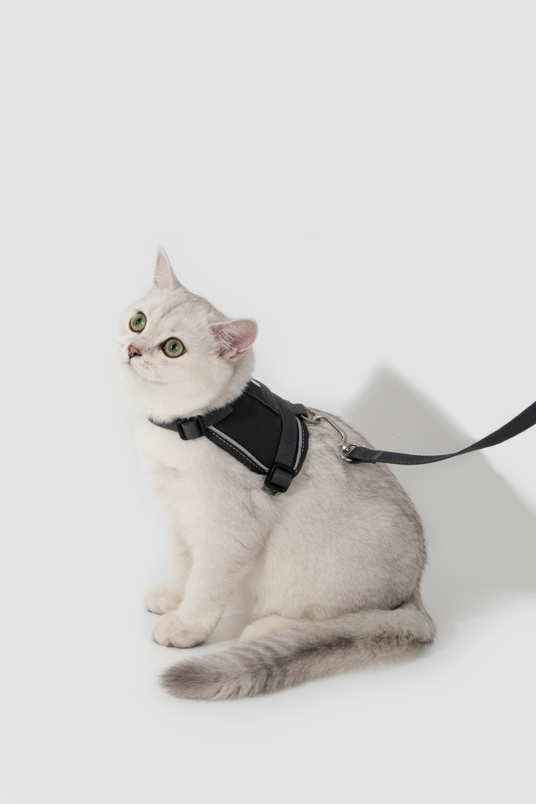 Valley series vest cat chest and back traction set