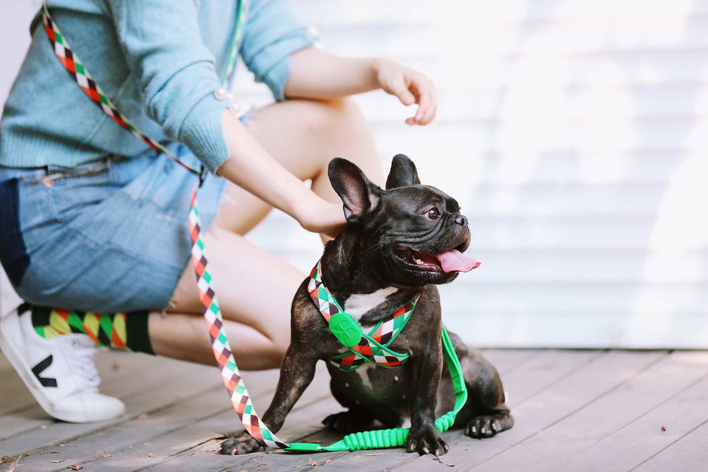 Colorful PRO Series - Multi functional Buffer Traction Rope