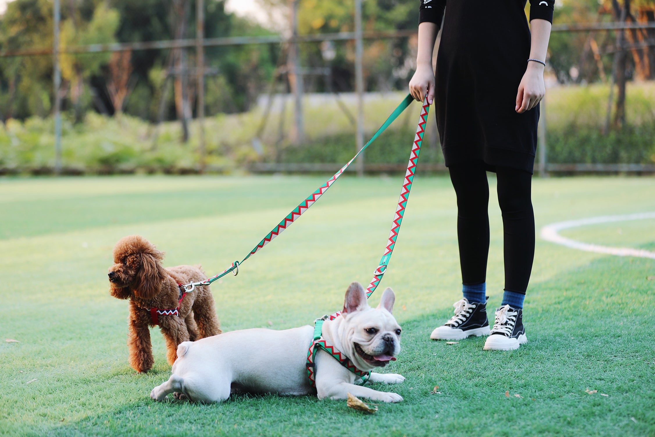 Rainbow Series - Multi functional Traction Rope