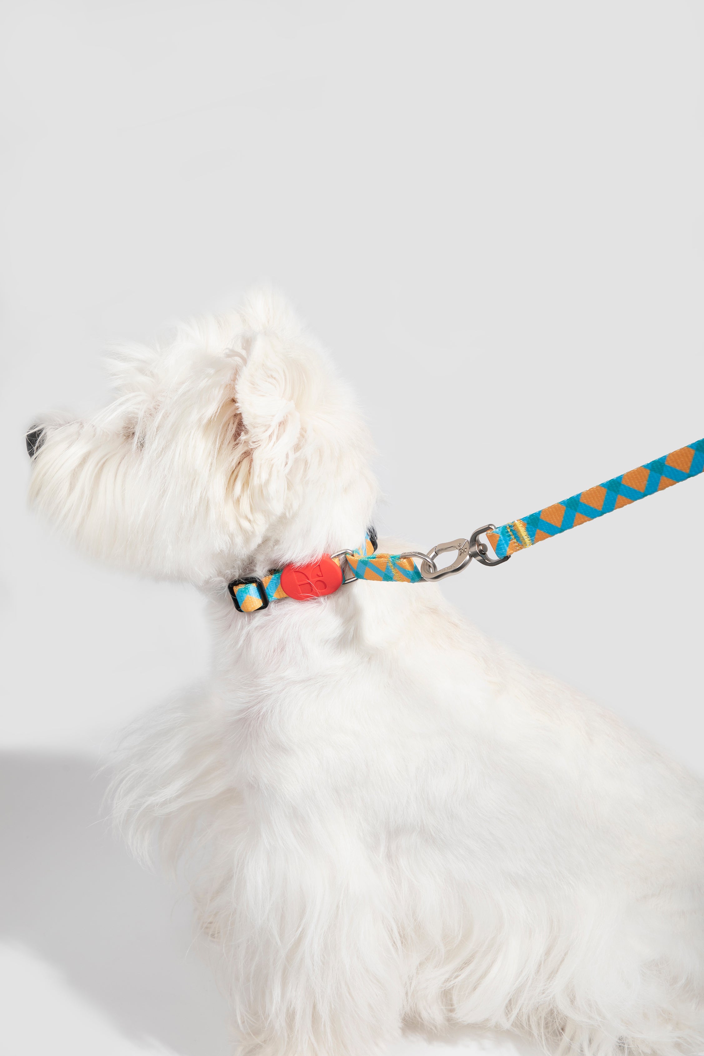 Colorful PRO Series - Half P Explosion proof Punch Collar S Size