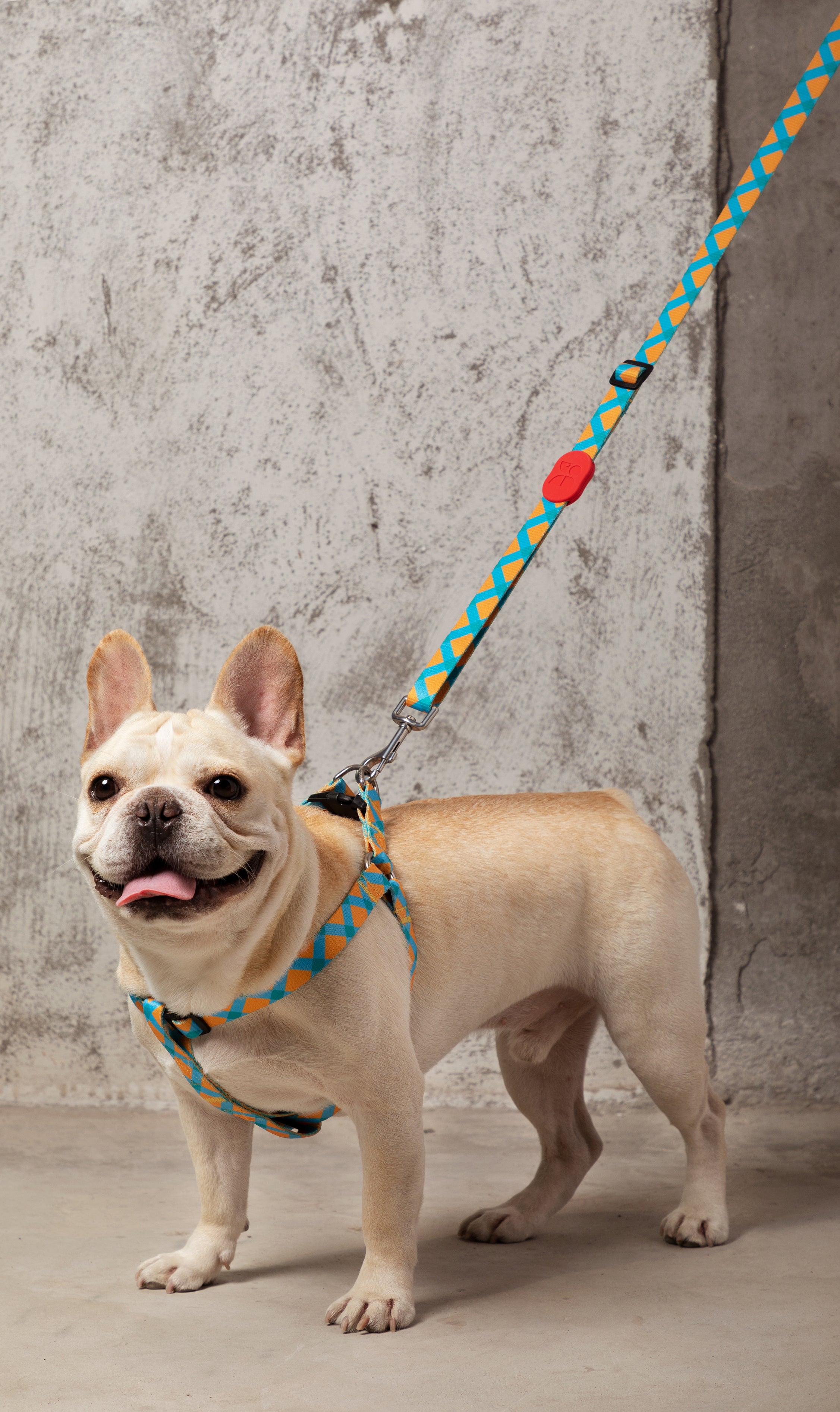 Colorful Series - Adjustable Traction Rope