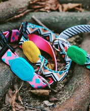 Aloha Paws Collar