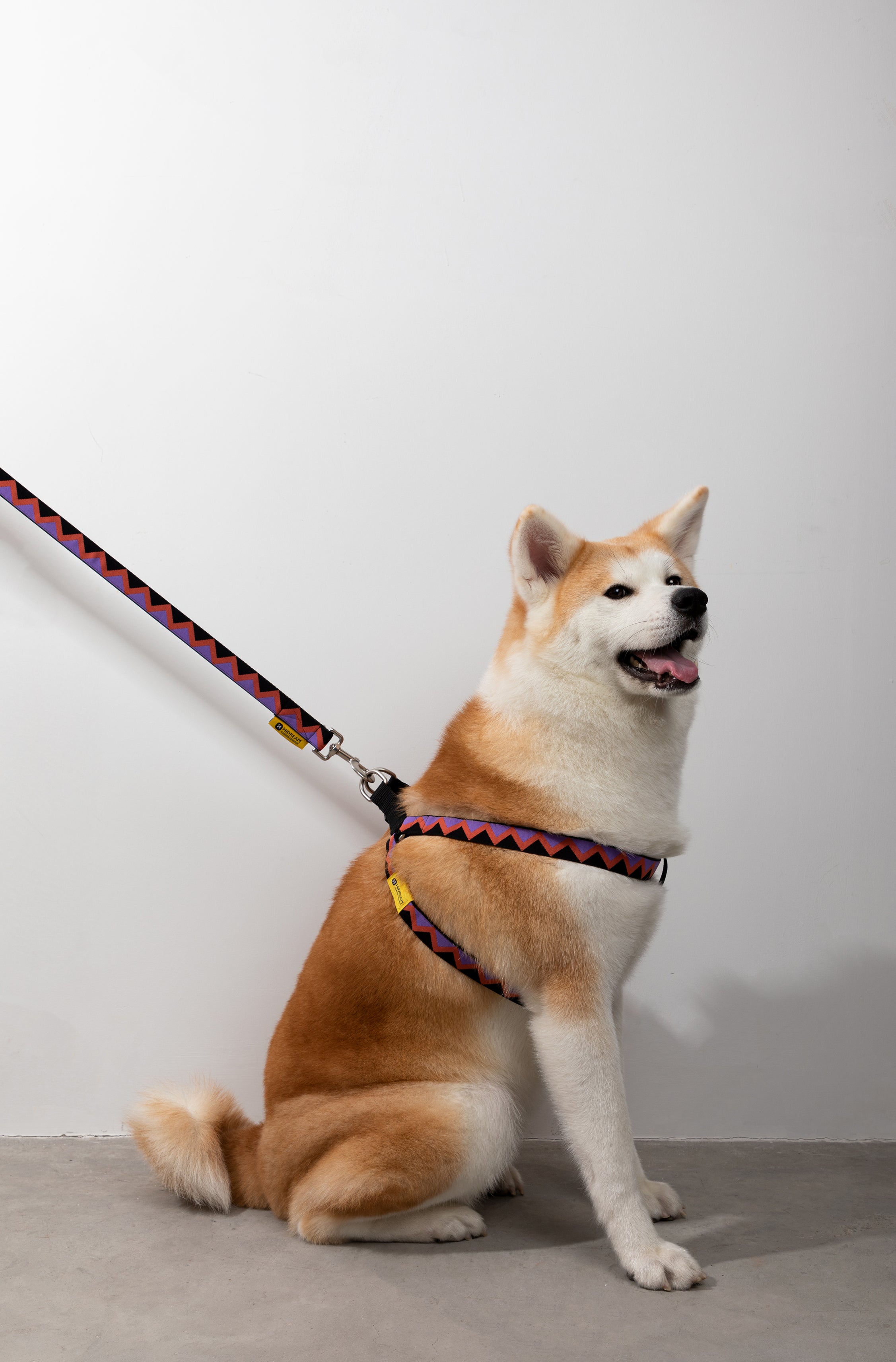 Rainbow Series - Y-shaped Chest and Back+Traction Set