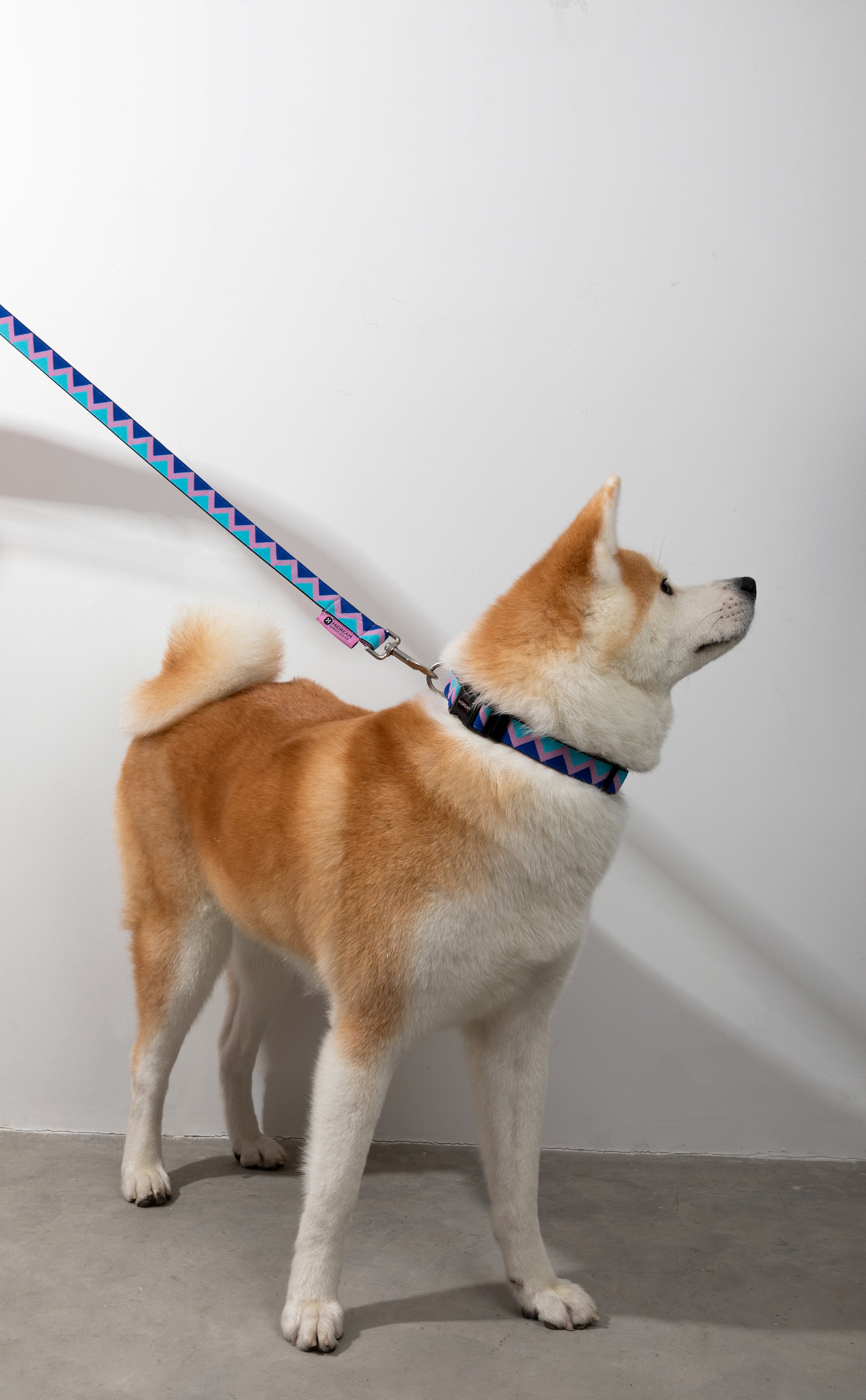 Rainbow Series - Collar