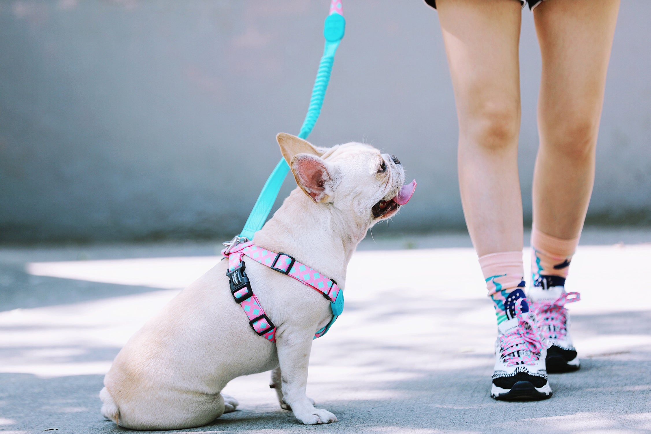 Colorful PRO Series - Multi functional Buffer Traction Rope
