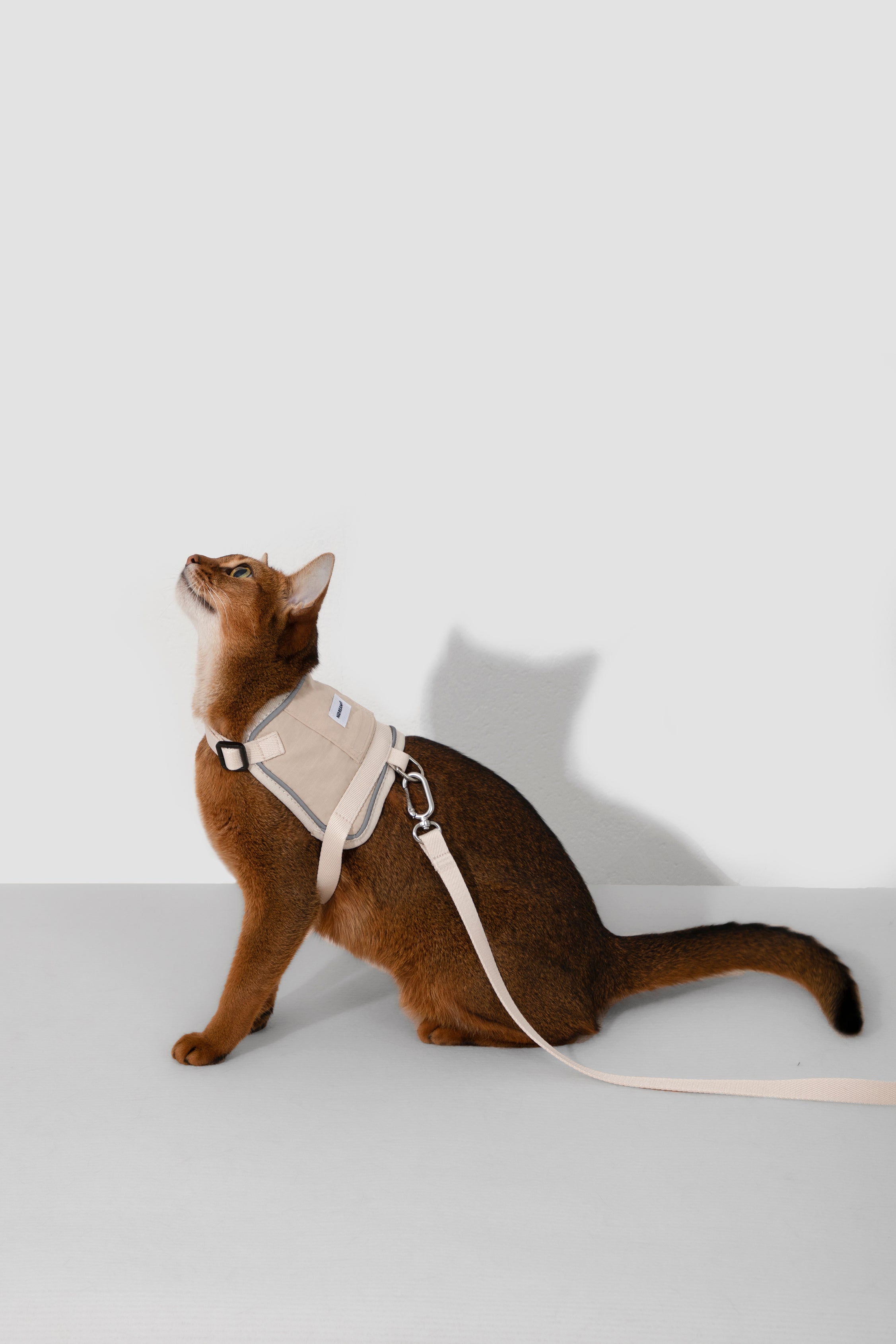 Valley series vest cat chest and back traction set