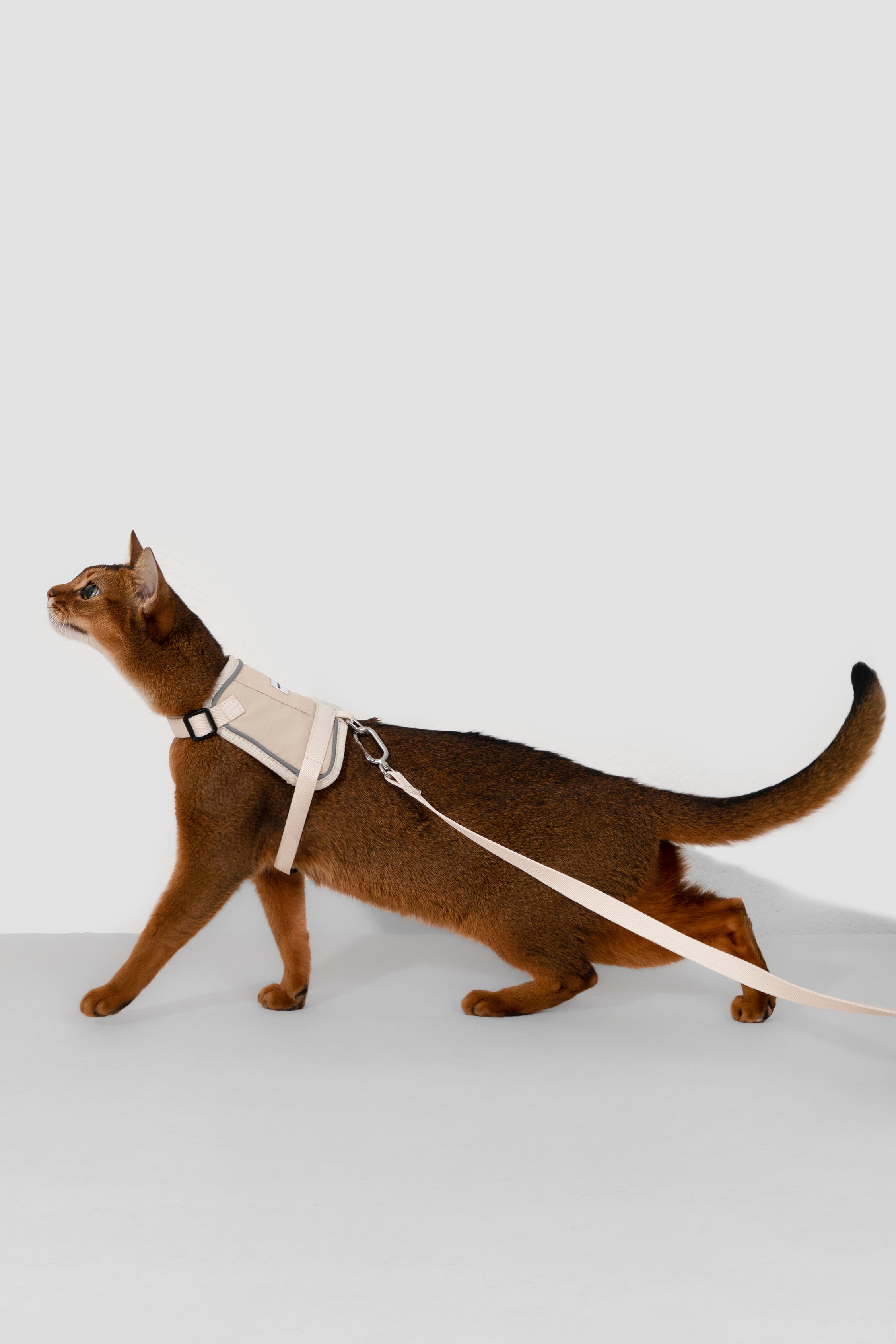 Valley series vest cat chest and back traction set