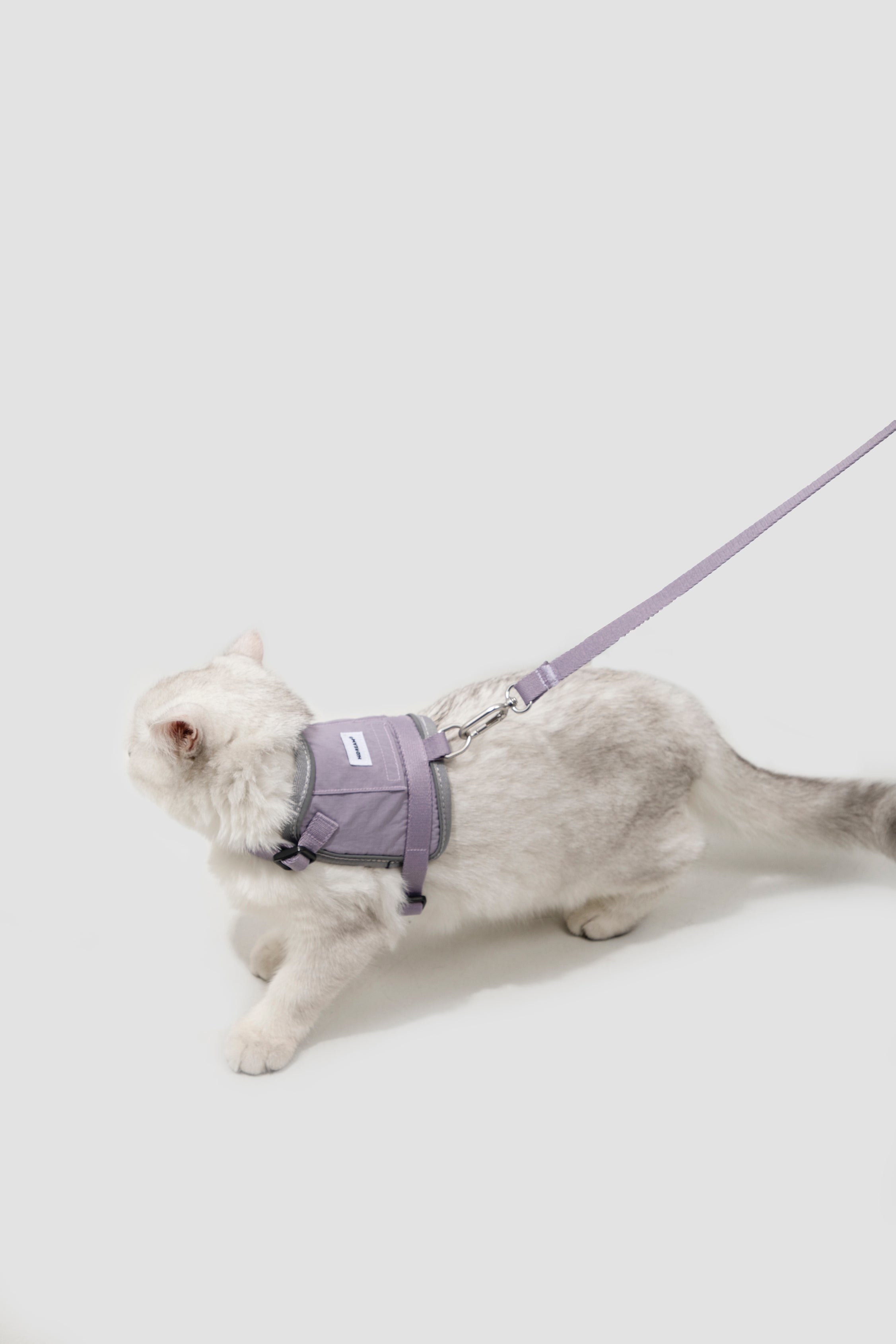 Valley series vest cat chest and back traction set