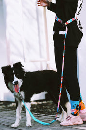 Colorful PRO Series - Multi functional Buffer Traction Rope