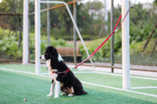 Rainbow Series - Multi functional Traction Rope