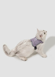 Valley series vest cat chest and back traction set