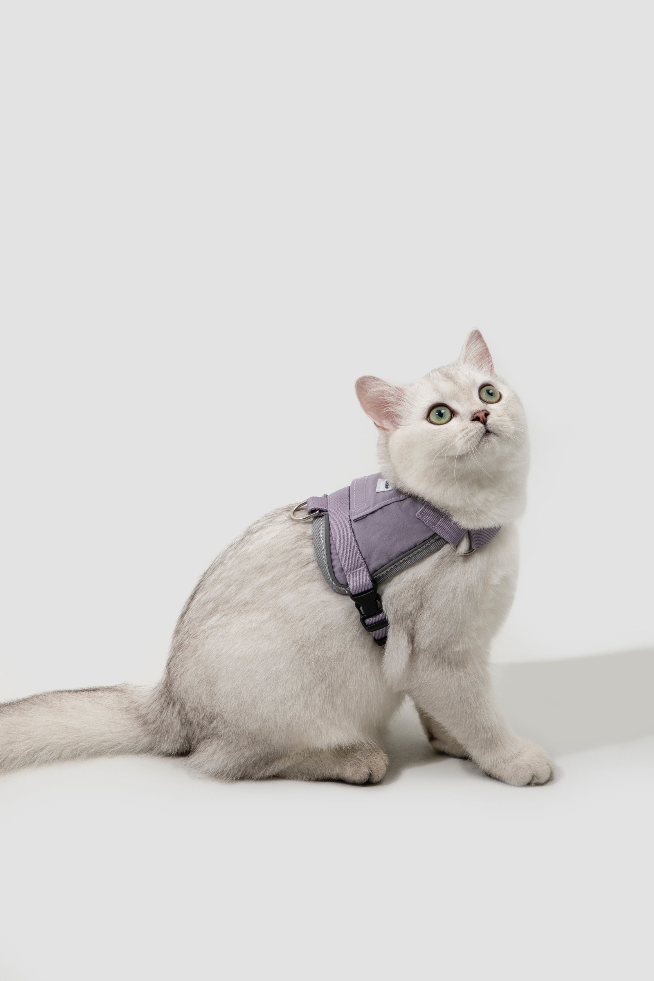 Valley series vest cat chest and back traction set