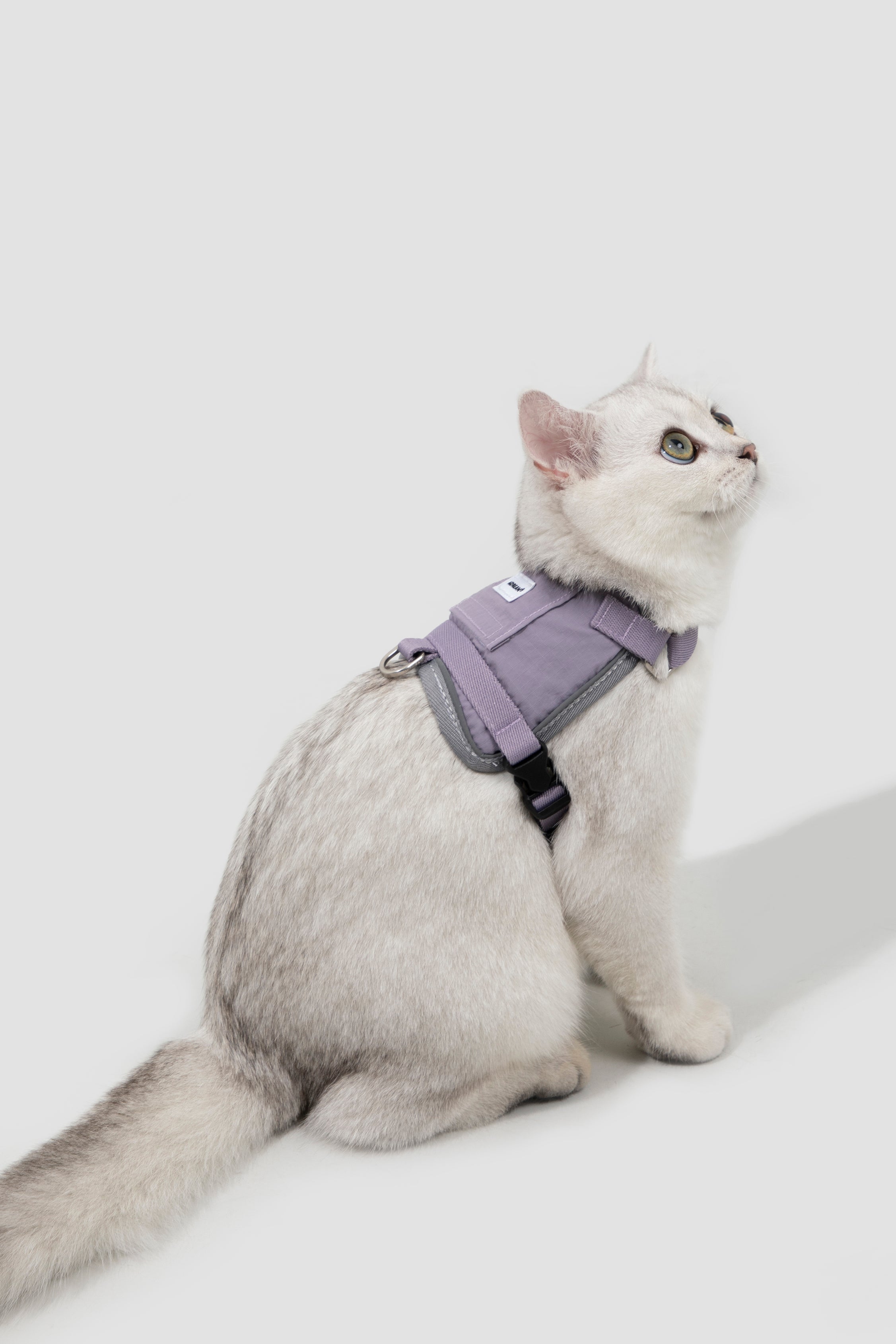 Valley series vest cat chest and back traction set
