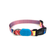Colorful Series - Collar