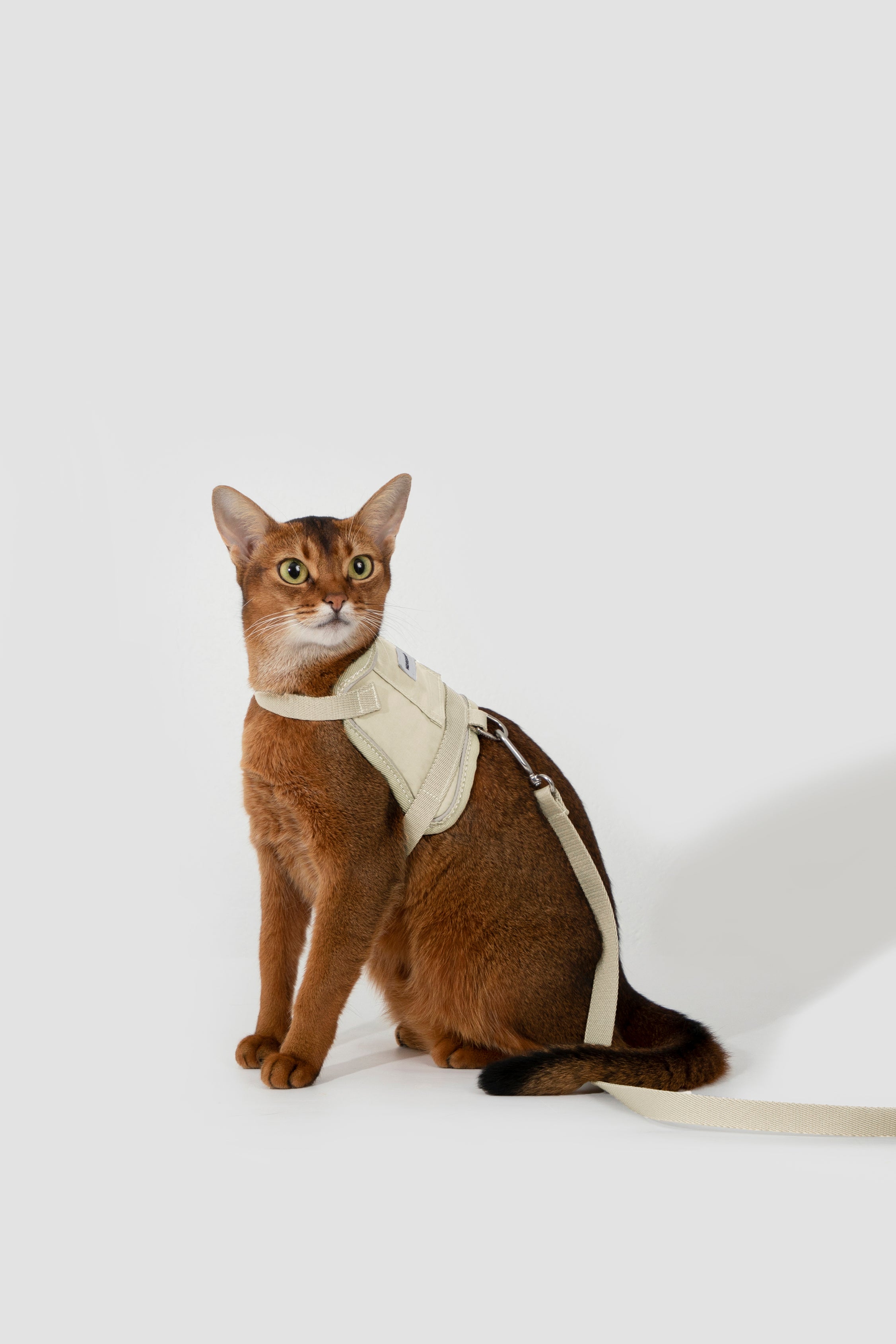 Valley series vest cat chest and back traction set