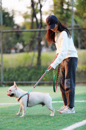 Rainbow Series - Multi functional Traction Rope