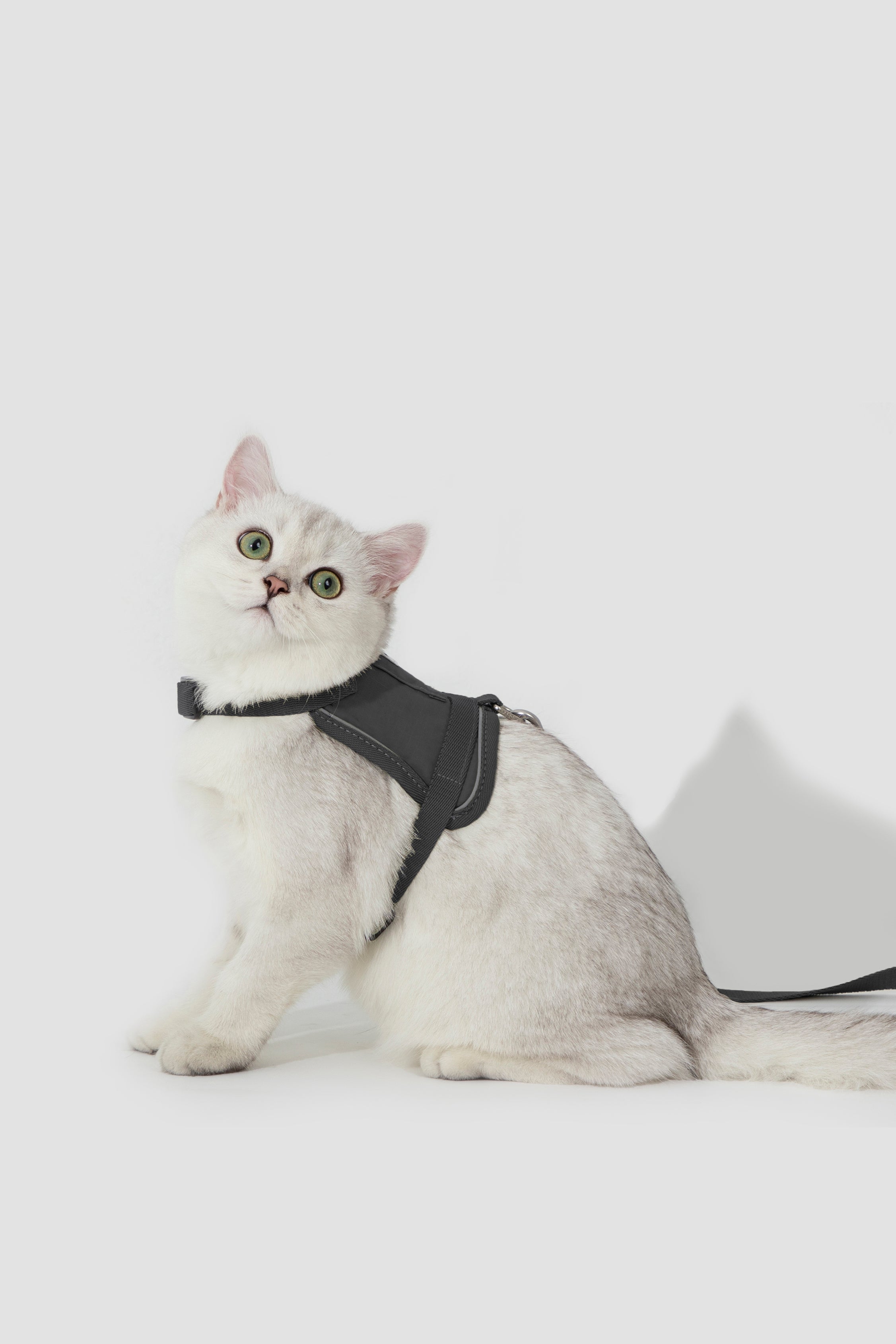 Valley series vest cat chest and back traction set
