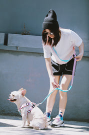 Colorful PRO Series - Multi functional Buffer Traction Rope