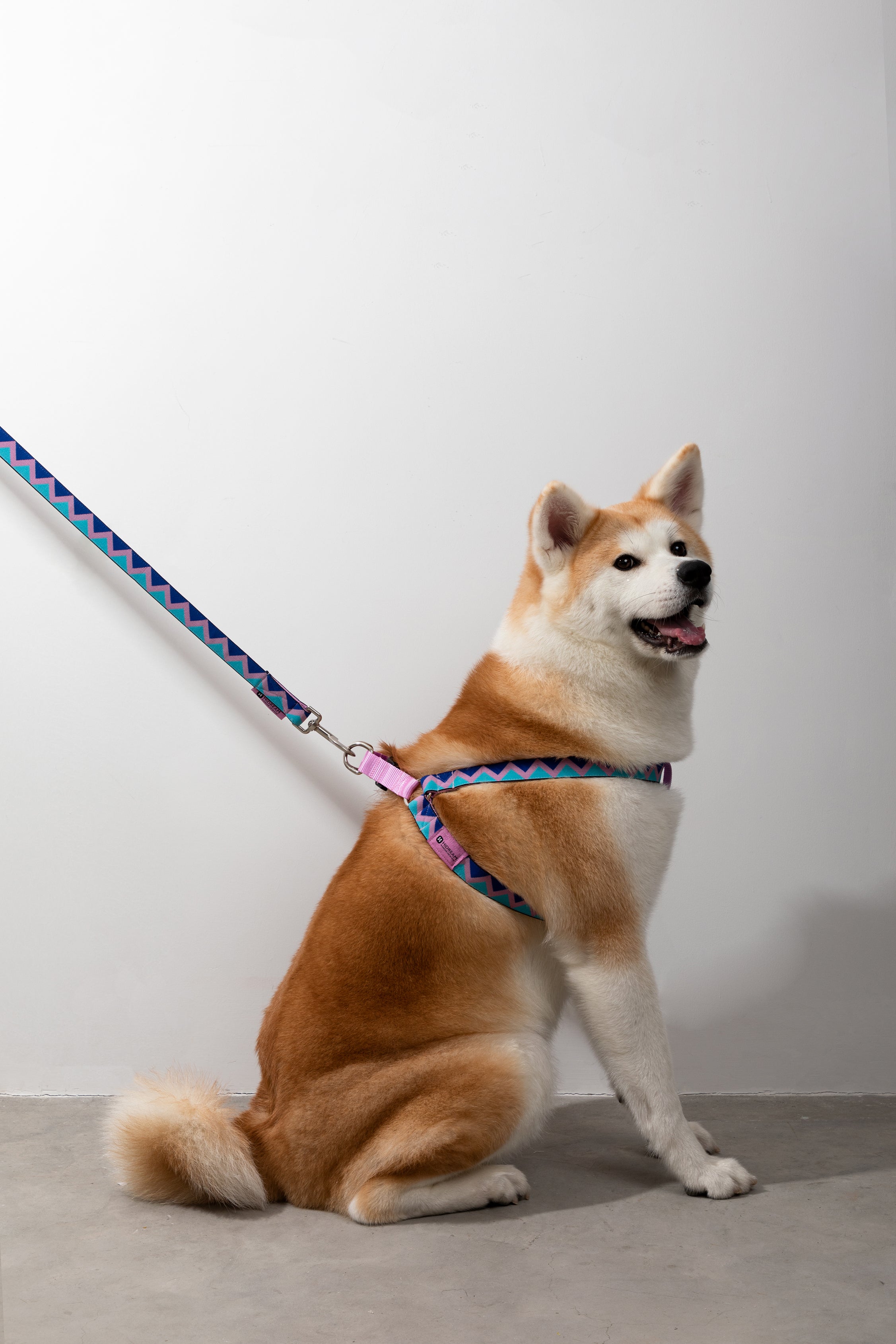 Rainbow Series - Y-shaped Chest and Back+Traction Set