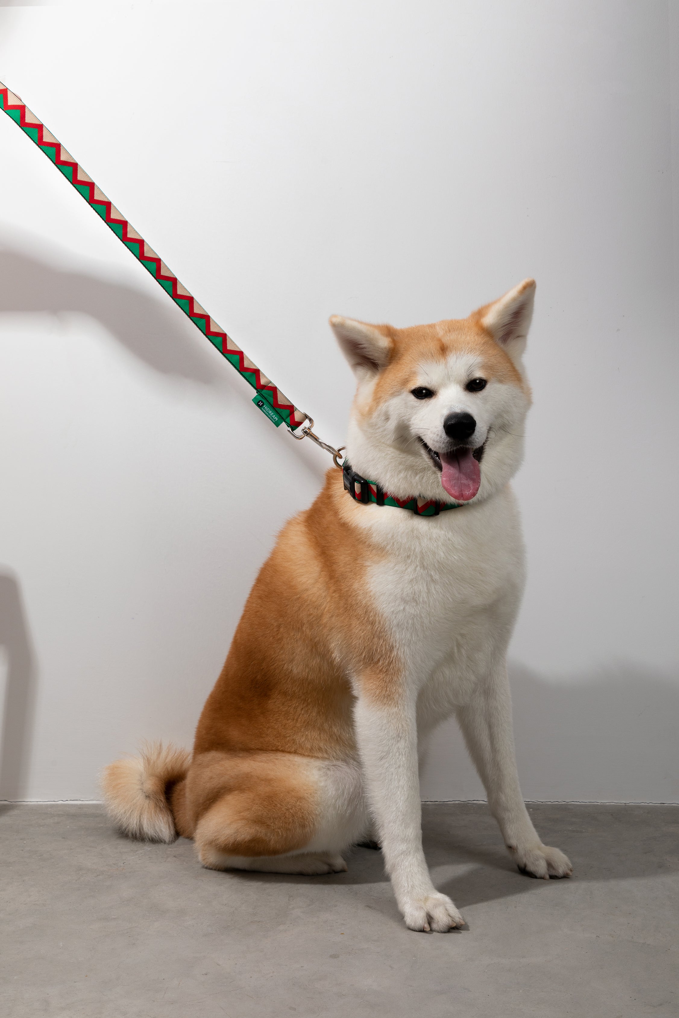 Rainbow Series - Collar