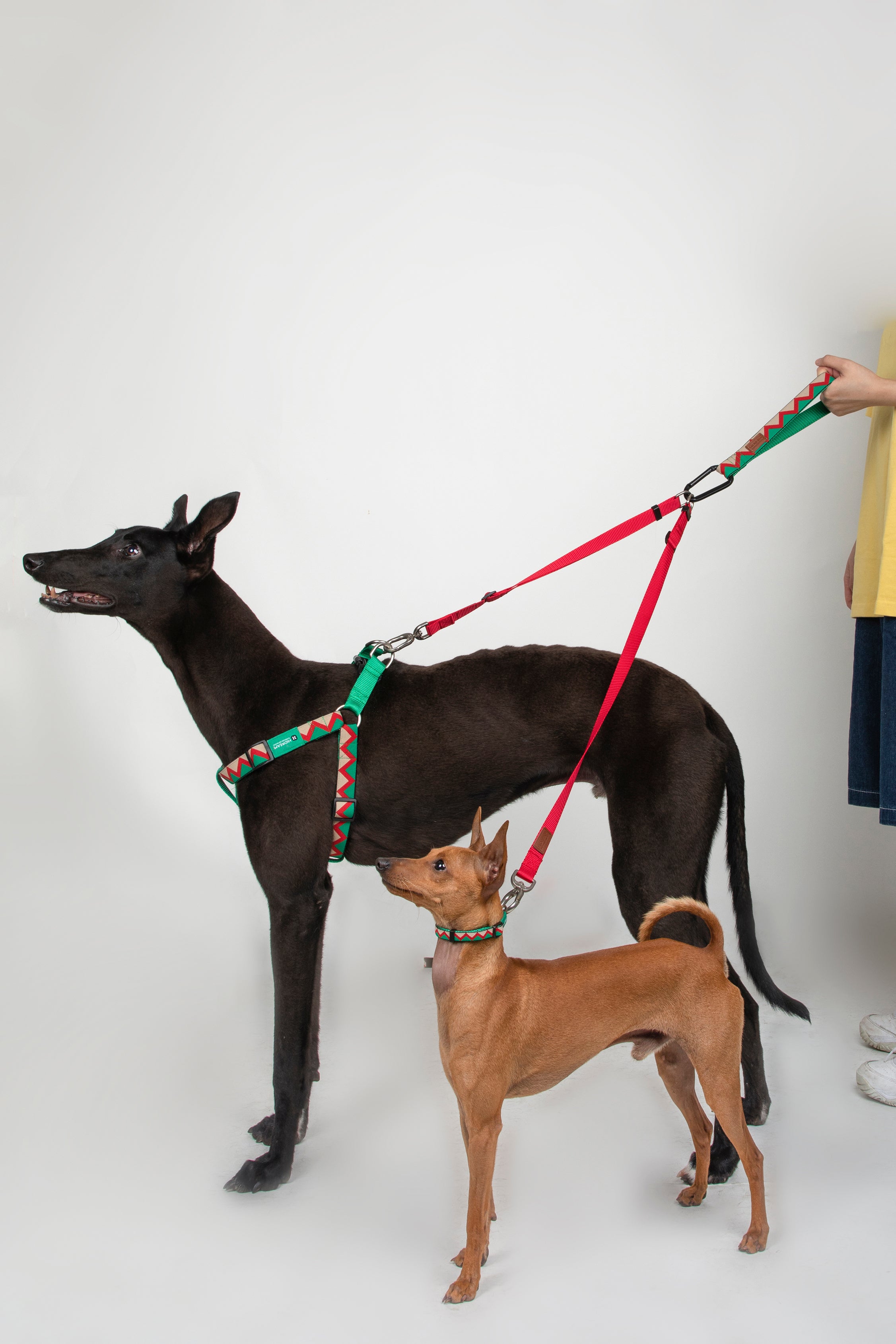 Rainbow Series - Multi functional Safety Strap