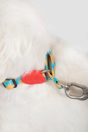 Colorful PRO Series - Half P Explosion proof Punch Collar S Size