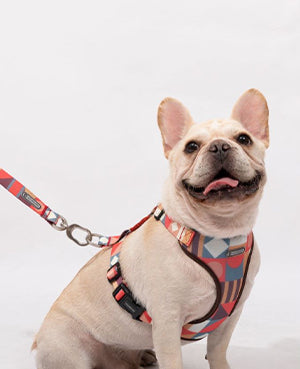 Vest Style Lightweight Chest Harness