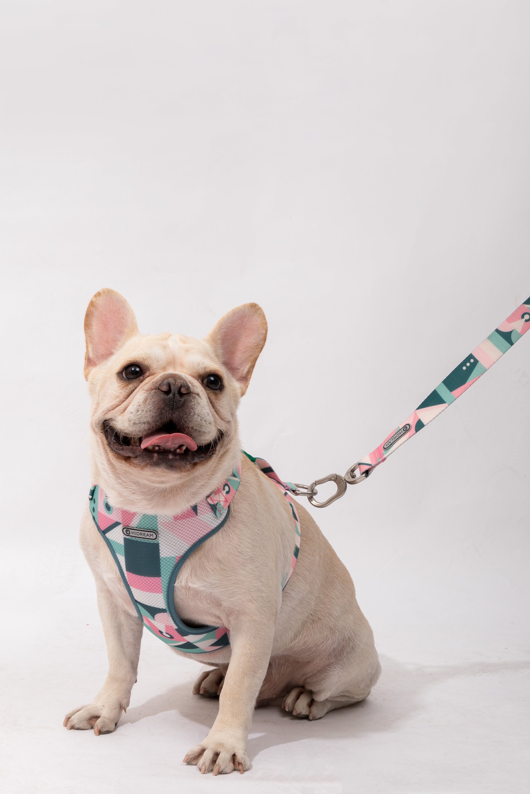 Castle Series - Soft Handle Traction Rope in New Colors