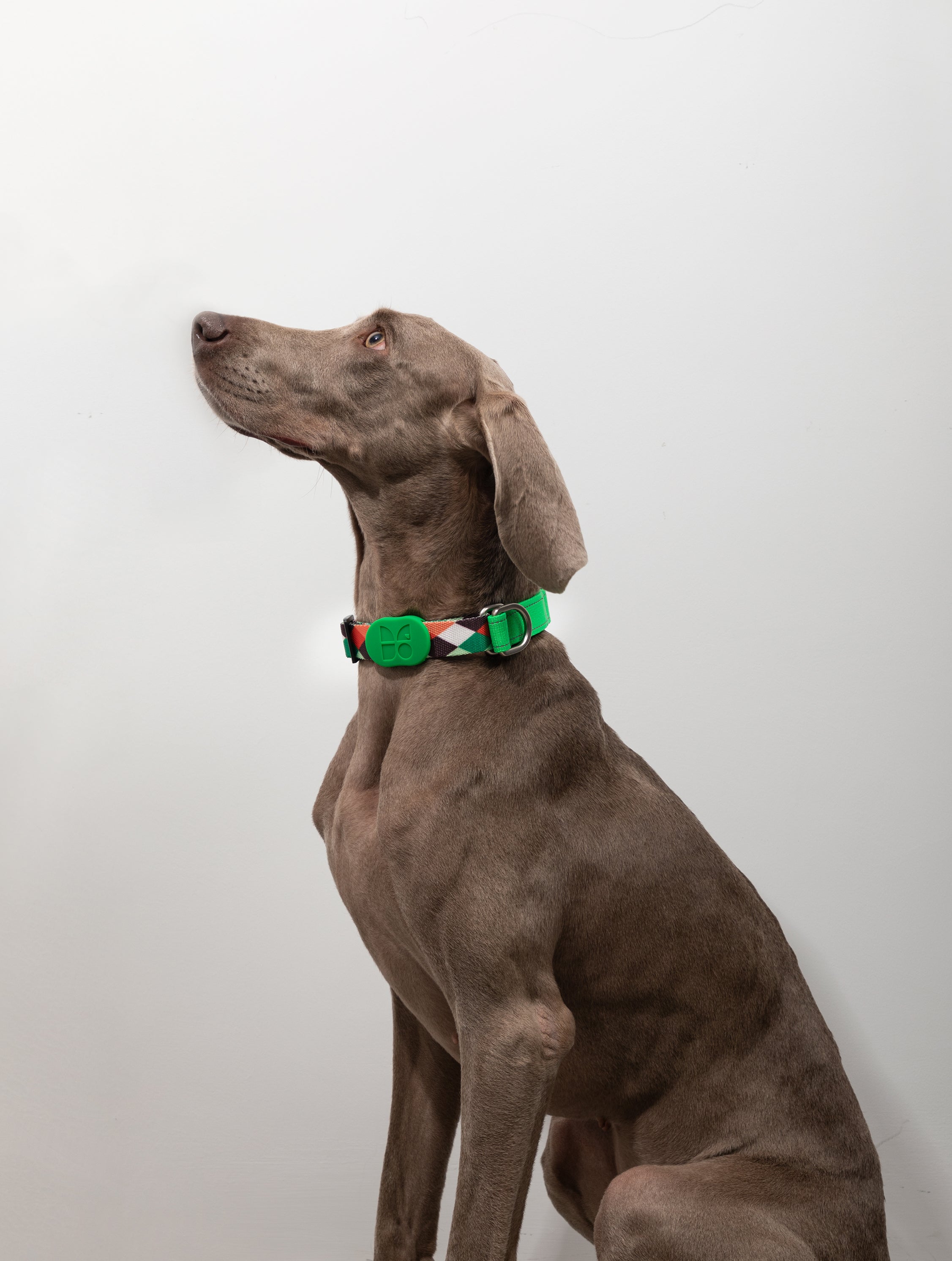 Colorful PRO Series - Half P Explosion proof Punch Collar