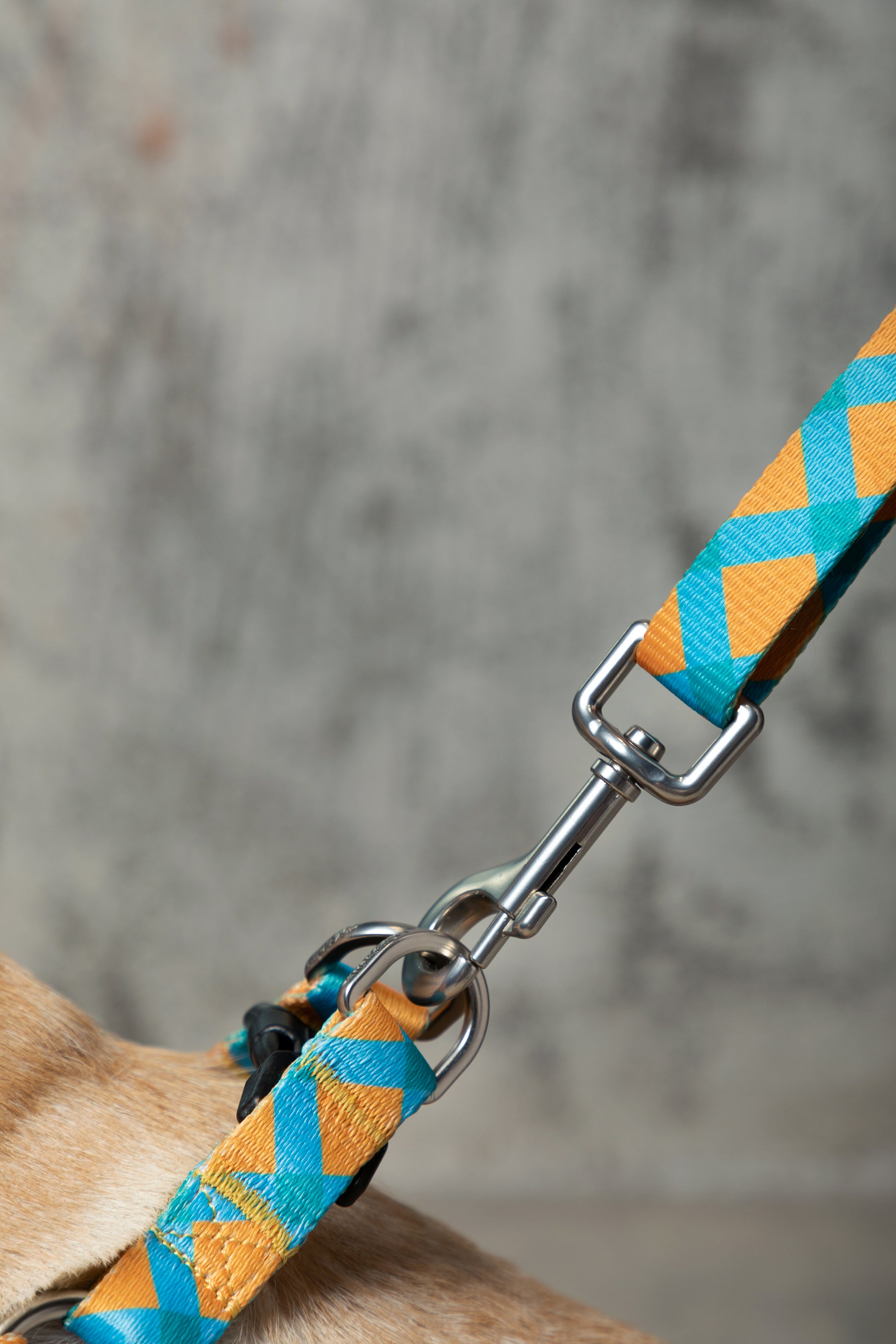 Colorful Series - Adjustable Traction Rope