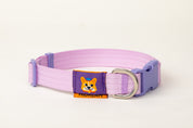 Pet Walk Dashun Collar