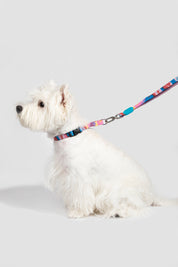 Colorful PRO Series - Half P Explosion proof Punch Collar S Size