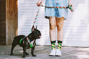 Colorful PRO Series - Multi functional Buffer Traction Rope
