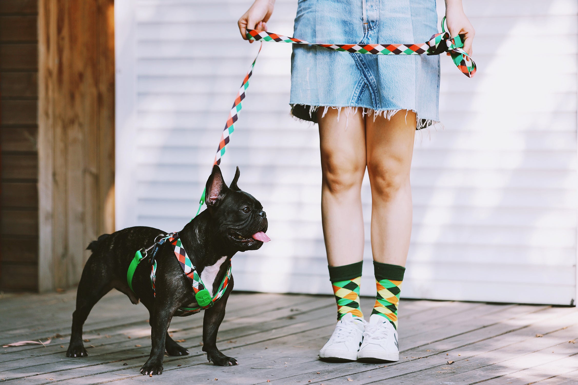 Colorful PRO Series - Multi functional Buffer Traction Rope