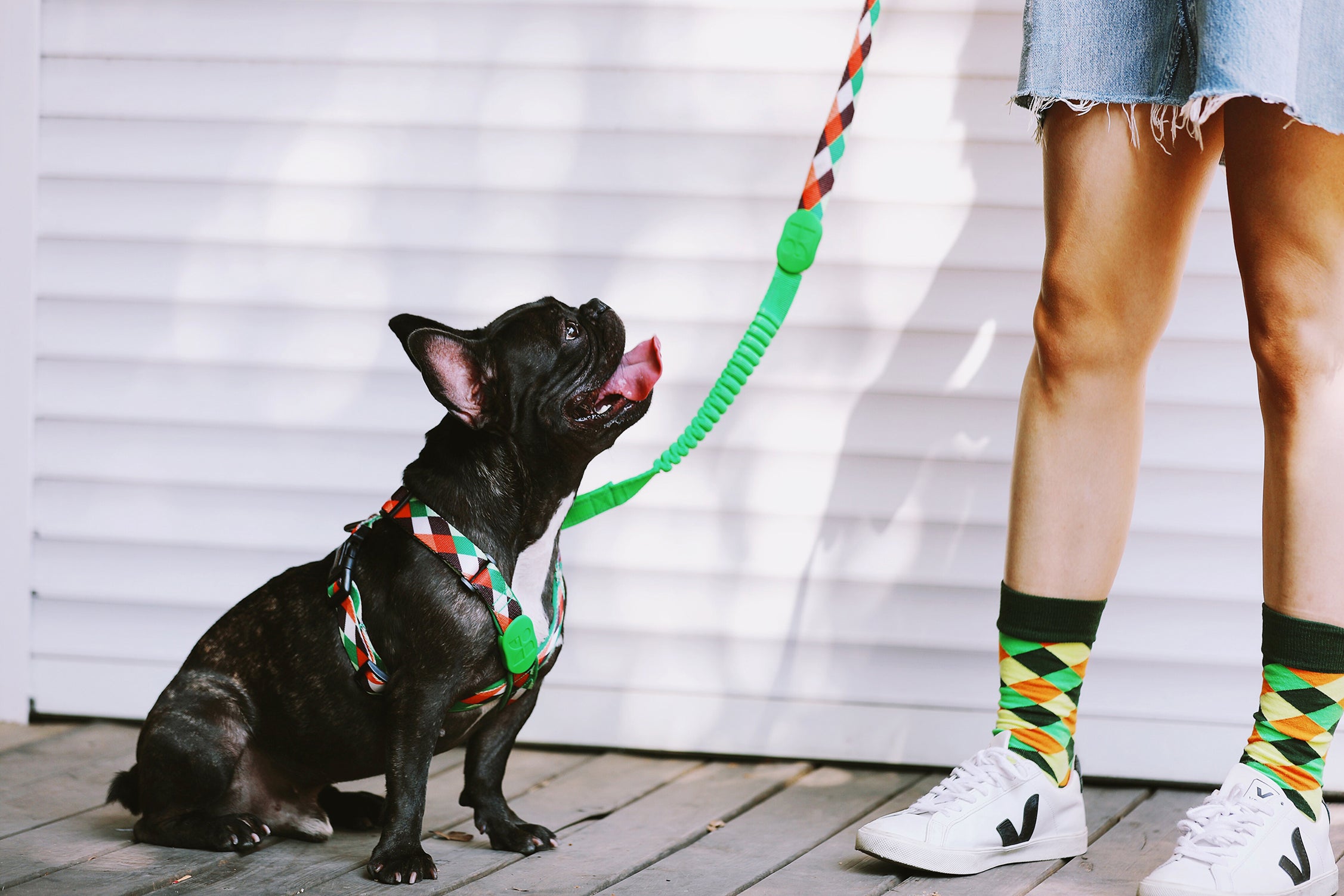 Colorful PRO Series - Multi functional Buffer Traction Rope