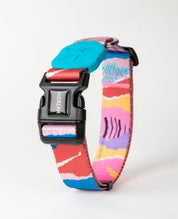 Aloha Paws Collar