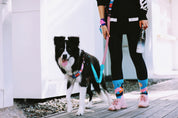 Colorful PRO Series - Multi functional Buffer Traction Rope